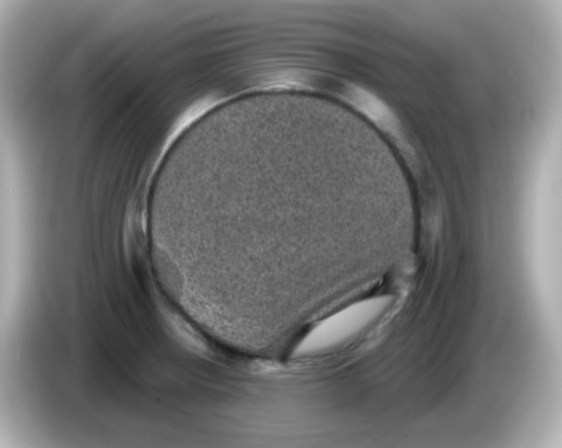 X0000086051234200704091203