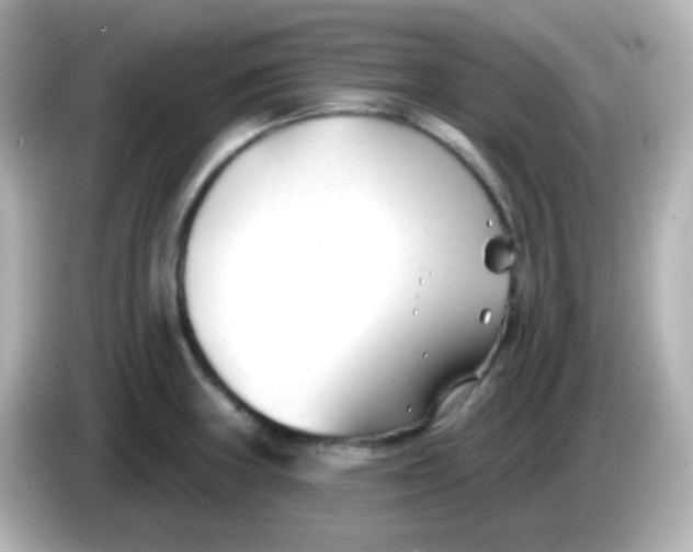 X0000086051235200704091204