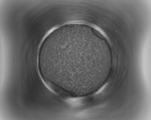 X0000086051237200704091204