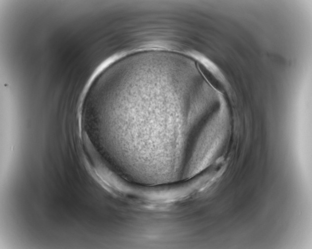 X0000086051238200704091204