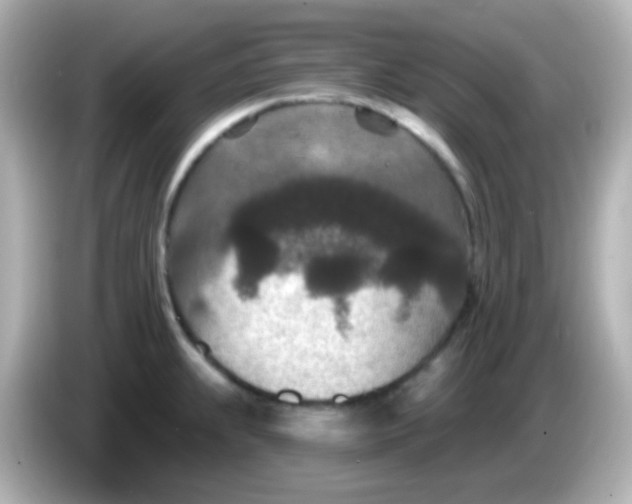 X0000086051239200704091204