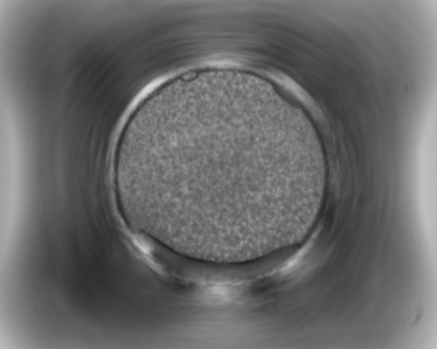 X0000086051240200704091204