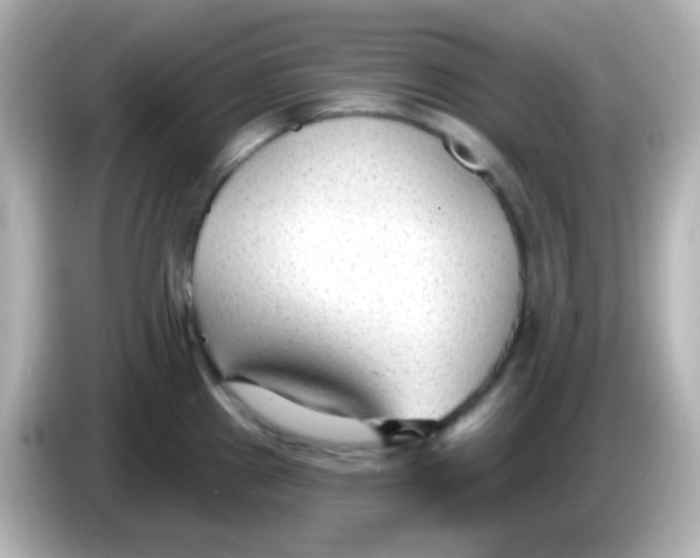 X0000086051241200704091204