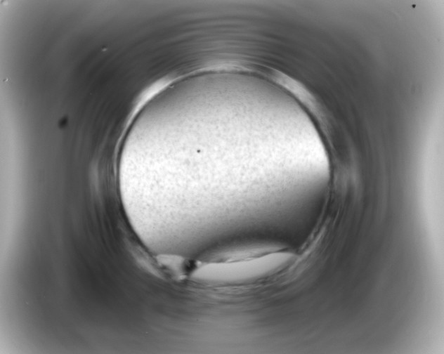 X0000086051242200704091204