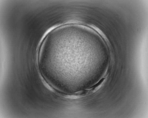 X0000086051246200704091204
