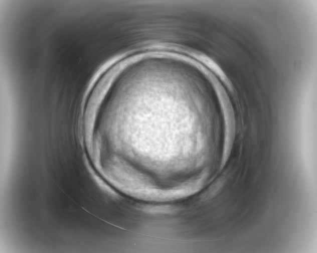 X0000086051247200704091204