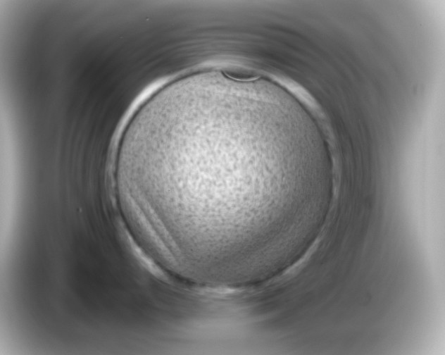 X0000086051248200704091204