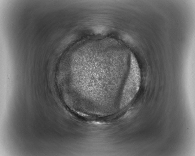 X0000086051249200704091203