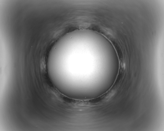 X0000086051252200704091203