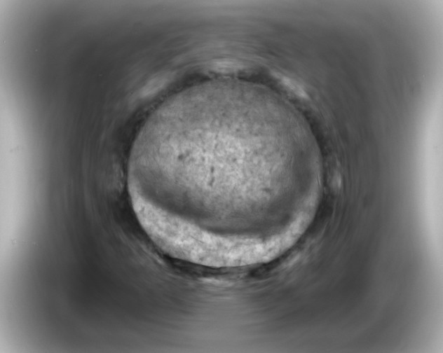 X0000086051253200704091203