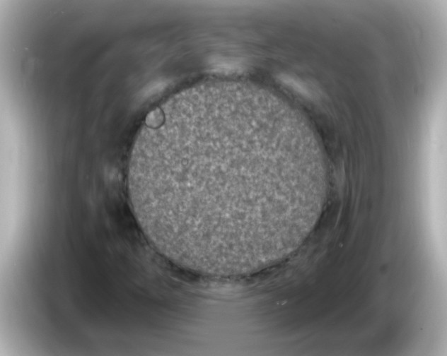X0000086051254200704091203