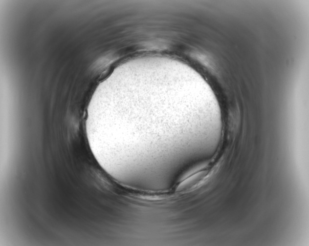 X0000086051257200704091203