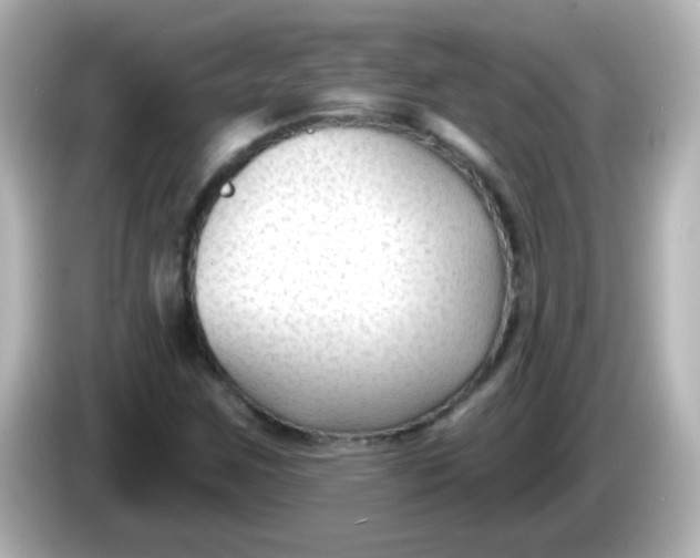 X0000086051259200704091203