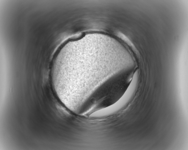 X0000086051260200704091203