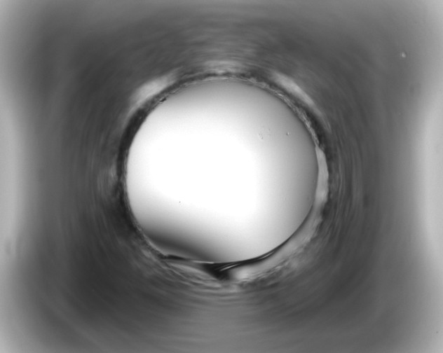 X0000086051261200704091203