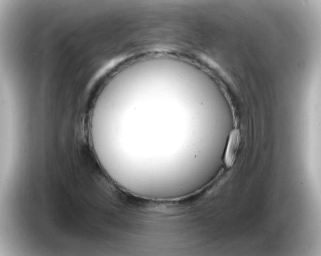 X0000086051262200704091203