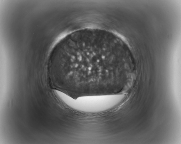 X0000086051263200704091203