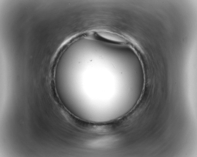 X0000086051264200704091203