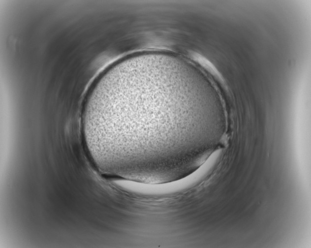 X0000086051268200704091203
