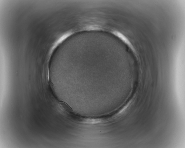 X0000086051269200704091203