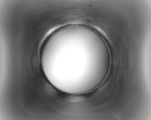 X0000086051270200704091203