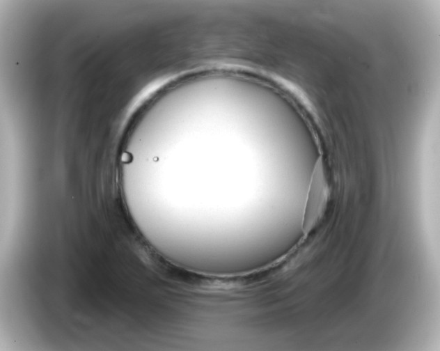 X0000086051271200704091203