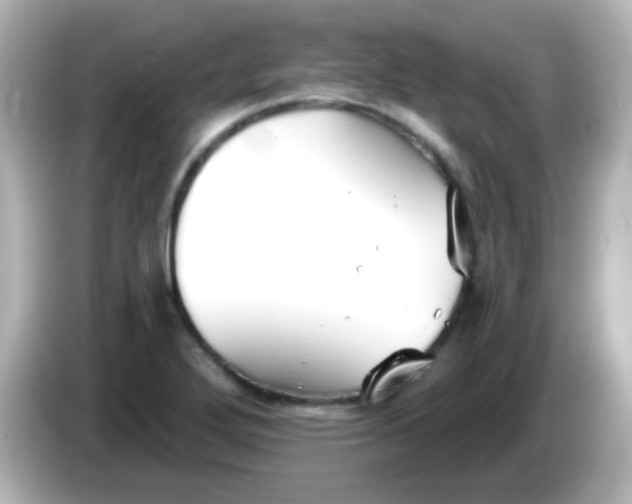 X0000086051272200704091203