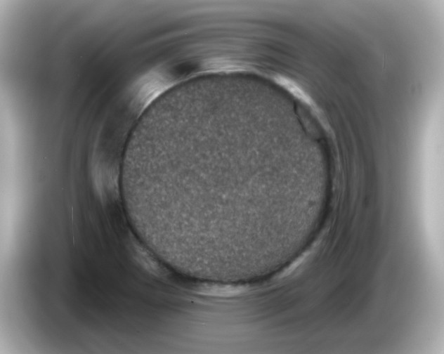 X0000086051273200704091203
