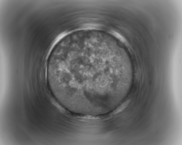 X0000086051275200704091203
