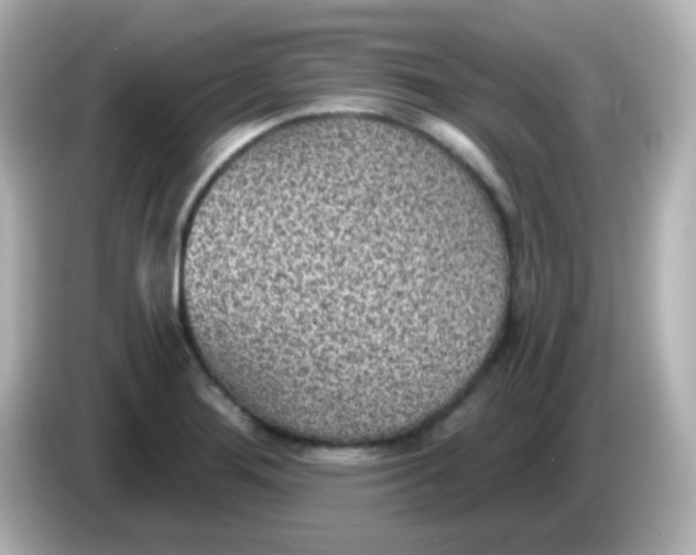 X0000086051276200704091203
