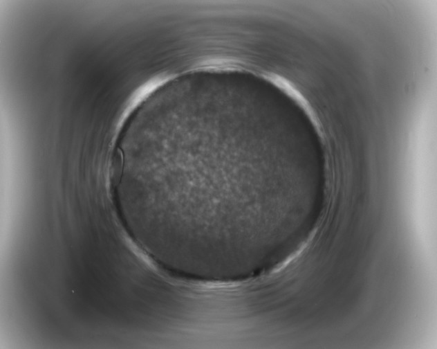 X0000086051277200704091203
