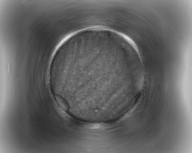 X0000086051279200704091203