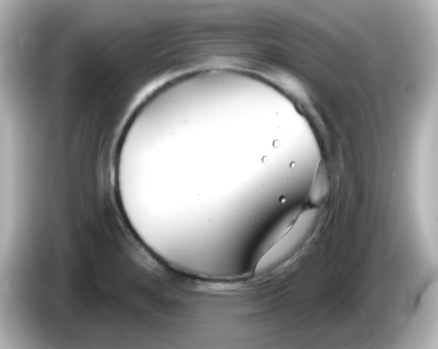 X0000086051280200704091203