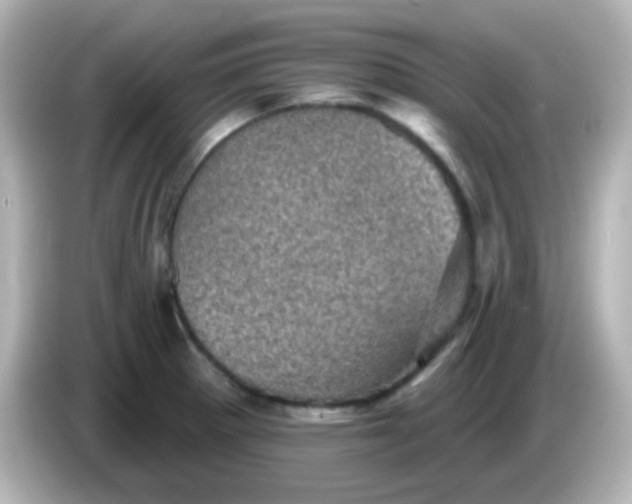 X0000086051281200704091203