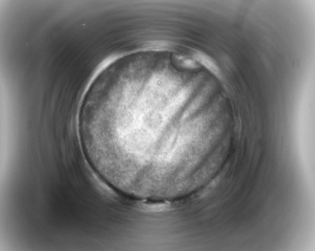 X0000086051283200704091203
