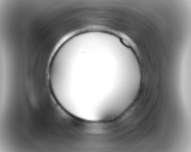 X0000086051287200704091203