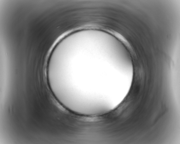 X0000086051288200704091203