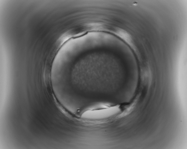 X0000086051289200704091203