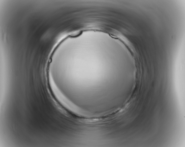 X0000086051291200704091203