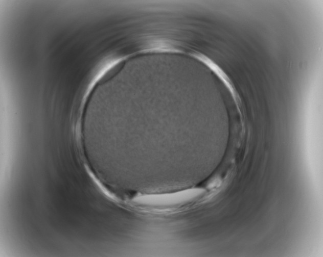 X0000086051293200704091203