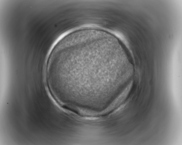 X0000086051295200704091203