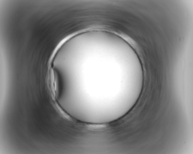 X0000086051296200704091203