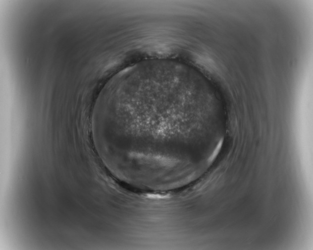 X0000086051297200704091202