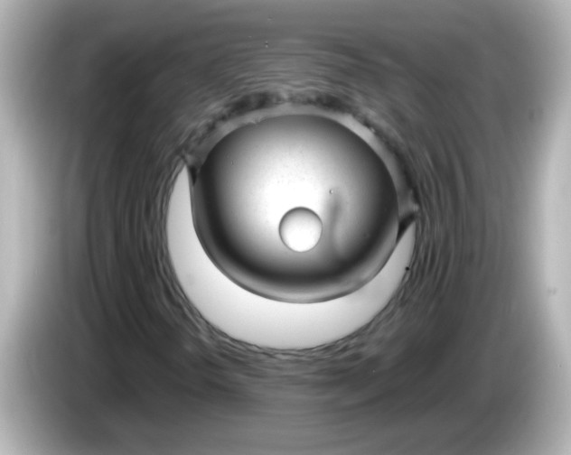 X0000086051298200704091202