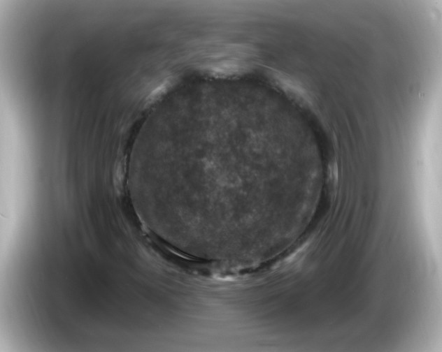 X0000086051300200704091202