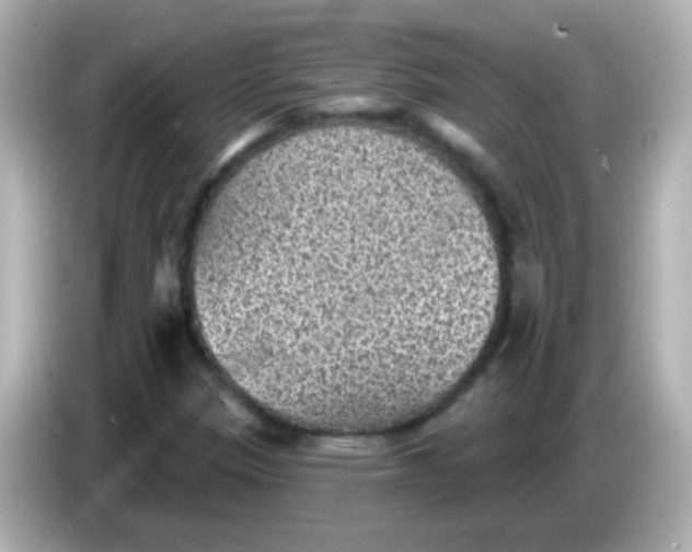 X0000086051305200704091202