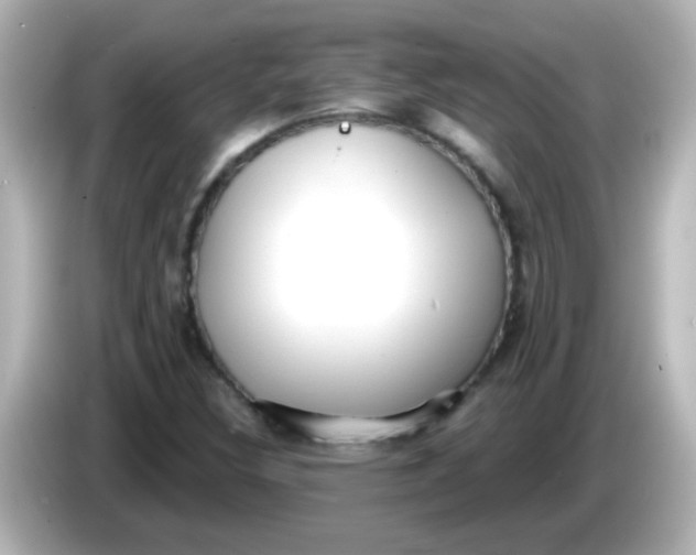 X0000086051308200704091202