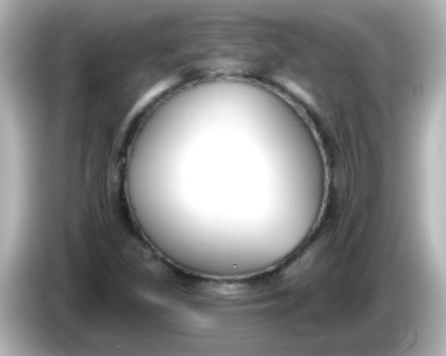X0000086051309200704091202