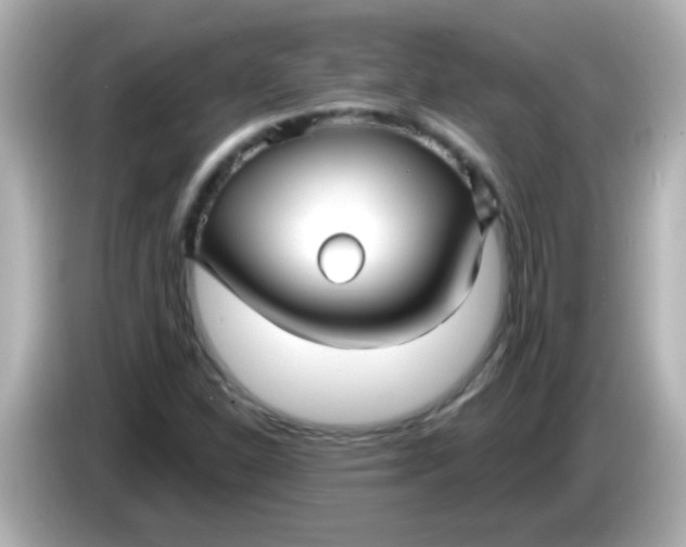 X0000086051310200704091202