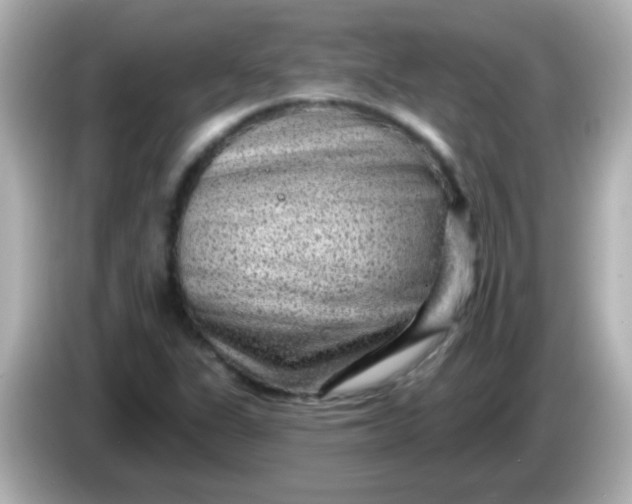 X0000086051311200704091202